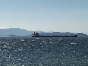 伊良湖水道で大型船が行き交う