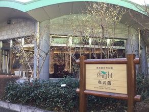 蝋梅が咲きました