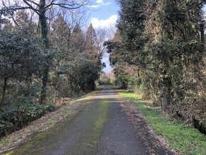 日の当たる坂道を徒歩で駆け上がる