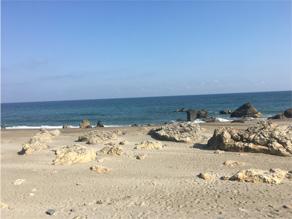 『おうち時間で楽しむ』渥美半島
