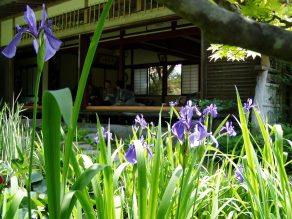 休暇村から車で10分　心が落ち着く空間。そこは花の寺