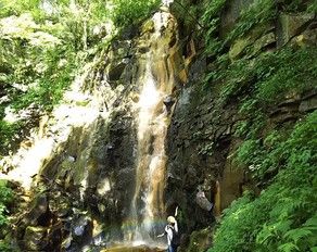 子どもも喜ぶ!ゴールドラインの隠れ絶景「幻の滝」