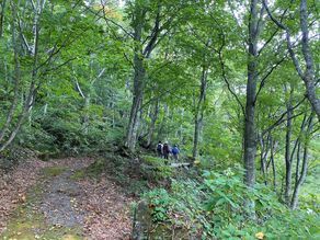 【笹ヶ峰歩き旅】　始まりました。