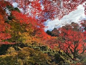 まもなく紅葉シーズン！金剛輪寺のご紹介