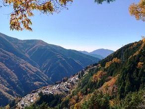 今が見頃です。下栗の里の紅葉
