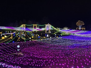 ☆”光の祭典”始まる☆