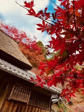 石の寺　教林坊