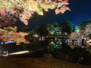 今が見ごろ！！錦秋の玄宮園ライトアップ ！！　週末に空室有！