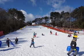 今週末OPEN!旭高原元気村雪そりゲレンデ