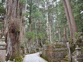 山の中の別世界　高野山でリフレッシュ！