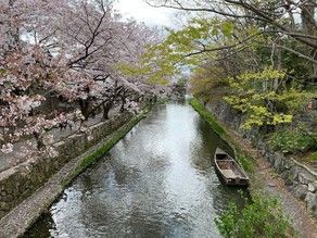 近江八幡名物!八幡堀めぐり