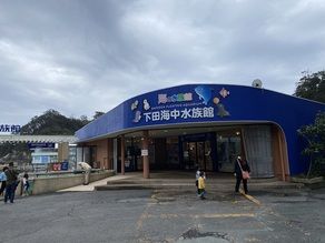 下田海中水族館のご紹介
