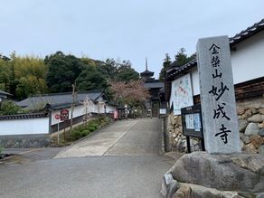 妙成寺に行ってきした