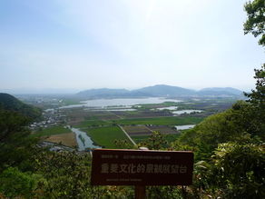 春におすすめ!八幡山ハイキング
