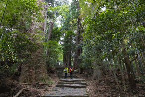 ～世界遺産「熊野古道」を歩く～
