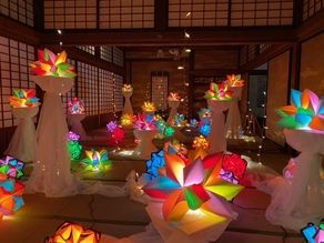村雲御所瑞龍寺門跡あかり展~雲の間に咲く虹色の花~