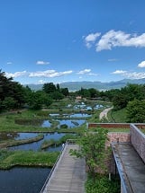 国営アルプスあずみの公園に行ってきました。