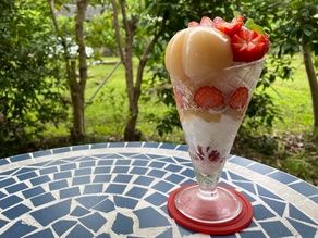 桃農家の営むジェラート専門店　藤桃庵