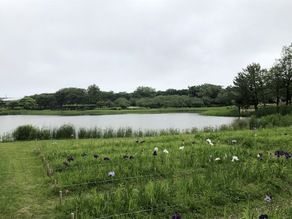 晴れた日には飯森山公園へ