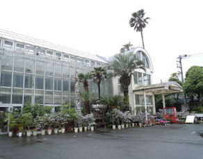 賀茂熱帯植物園をご紹介