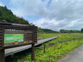 散策コース「小田貫湿原」