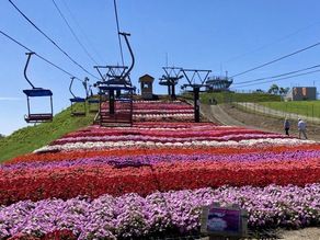 茶臼山の花とスカイガーデン(テラス)