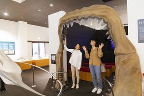 チケット付き宿泊プラン販売開始