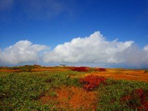 【月山情報】八合目への県道211号線閉鎖日時