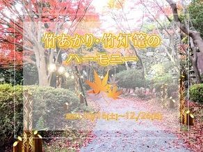 竹あかり・竹灯篭のハーモニー