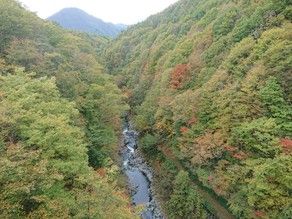 色づき始めた「中津川渓谷」へ行ってみよ！