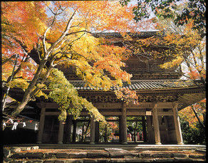 紅葉の永源寺と湖東三山の旅