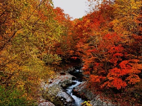 【紅葉】今すぐ行くべき裏磐梯の紅葉スポット2選