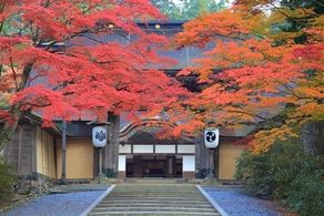 今が見頃！秋の絶景「高野山紅葉」