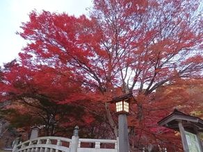 土津神社を観光してみよう！