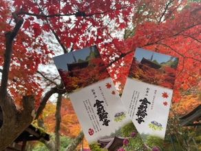 金剛輪寺の紅葉