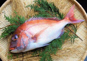 加太の美味しい魚を買うならここ!