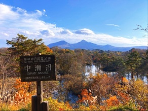 【中瀬沼の春夏秋冬】あなたはどの季節が好きですか?