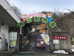西山公園・可愛いレッサーパンダ―を見に行きましょう♪♪