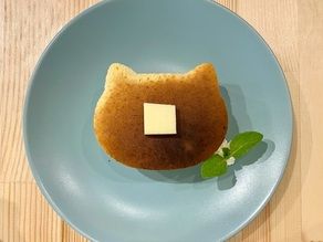 猫のいない猫カフェ『cafe&barまたたび』