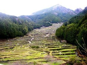 四季折々の景色を求めて...　四谷千枚田　愛知県 新城市