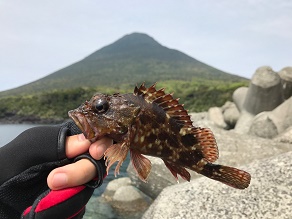 開聞岳と魚と私