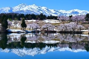 休暇村妙高から車で15分の絶景