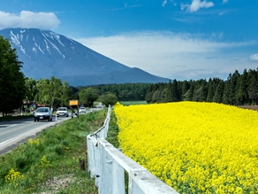 この時期のオススメ周辺観光スポット