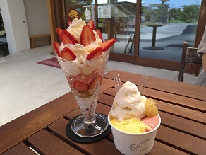 紀の川市の有名ジェラート店　藤桃庵へ行ってきました！