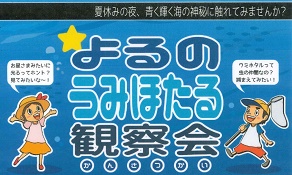 よるのうみほたる観察会