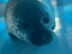 「のんほいパーク」で癒しのひと時を過ごしませんか？