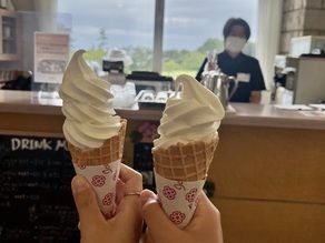 Places to visit in Fukui