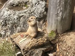 平日の平川動物公園、おすすめです！