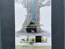 舘野鴻(たてのひろし)作品展開催中!