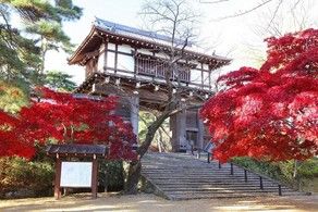 県内の紅葉情報〜千秋公園〜
